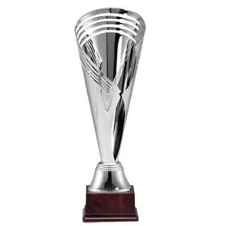 Twisted Fan Cup Award