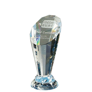 Crystal Spotlight Award - 8