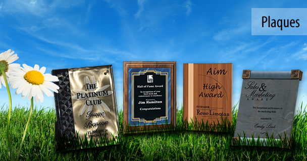 Plaques