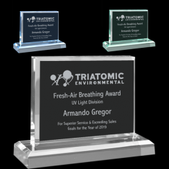 Acrylic Side Rectangle Award