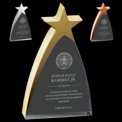 New Life Acrylic Star Award