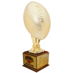 NEW HEAVY FFL FANTASY FOOTBALL TROPHY AWARD THREE SIZES AVAILABLE SMALL M*RF139A