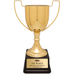 Golden Crown Metal Trophy Cup