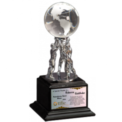 Teamwork of the World Award