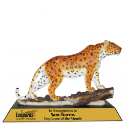 CARA REOPARD (I’M NO’T A TROPHY) s-l400.jpg