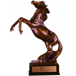 Large Rearing Bronze Horse Trophy