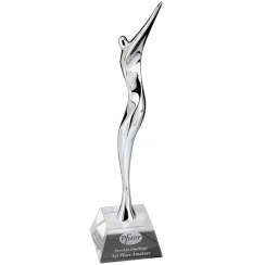 Fantastic Individual Award