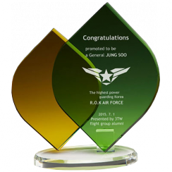 Tropical Remix Crystal Award