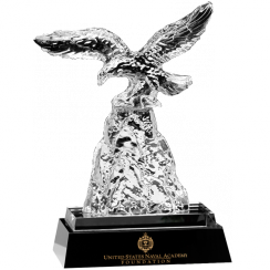 Eagle Challenge Crystal Award