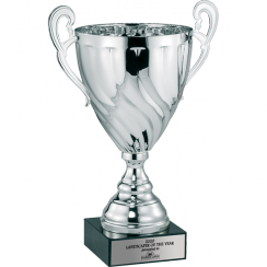 Silver Swirl Trophy Cup