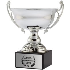 Wide Silver Trophy Cup