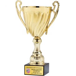 Golden Rift Trophy Cup