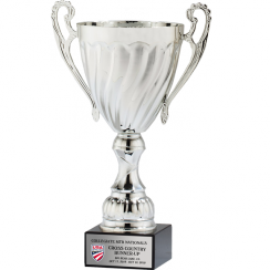 Silver Rift Trophy Cup
