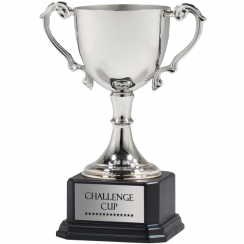Silver Die Cast Victory Trophy Cup