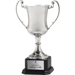 Silver Die Cast Champion Trophy Cup