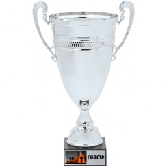 Super Silver Trophy Cup