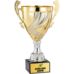 Silver Swirls Gold Trophy Cup