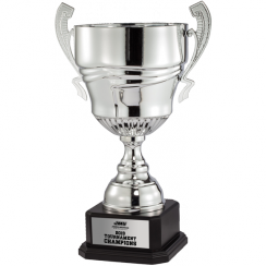 Wavy Rings Silver Trophy Cup