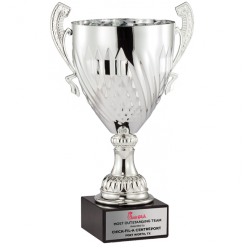 Peak Diamond Silver Trophy Cup