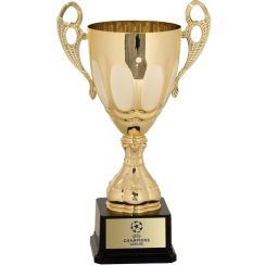 Awards and Third Various Sizes for First Fantasy Bros Completed Metal Cup Trophy Second Prizes Best Champion Trophy Cup with Plastic Base for Sports Souvenirs & Gifts 