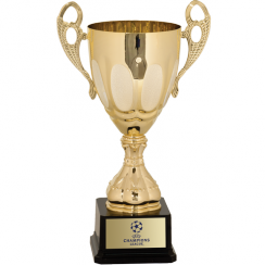 Golden Expansion Trophy Cup