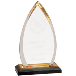 Acrylic Halo Award