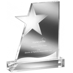 North Star Crystal Award