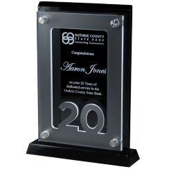 20 Years of Service Anniversary Award