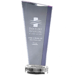 Crystal Purple Indra Award