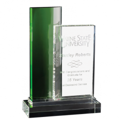 Crystal Infinity Award