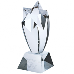Clear Star Crystal Award