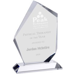Prestige Summit Crystal Award
