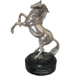 Rearing Silver Horse Trophy